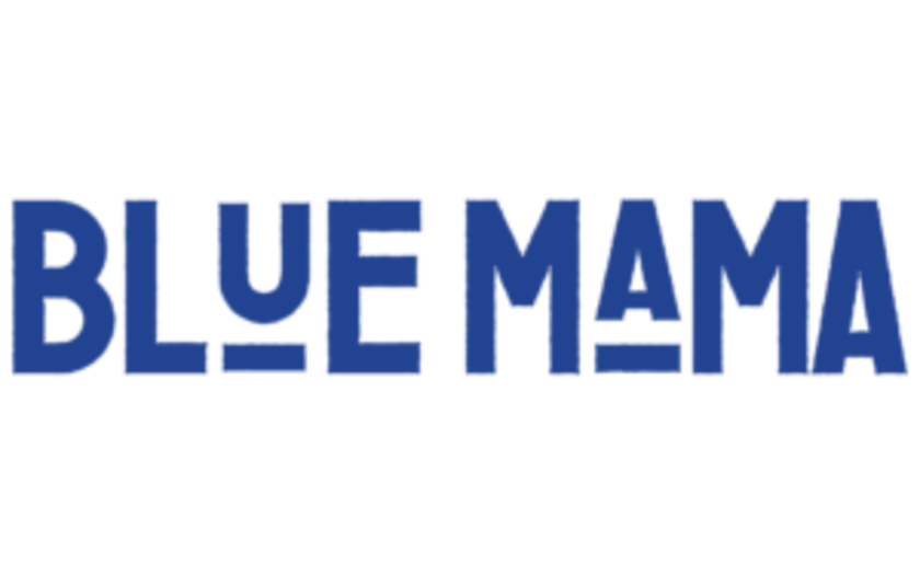 BlueMama_Logo_Schriftzug_blau-300x70.png