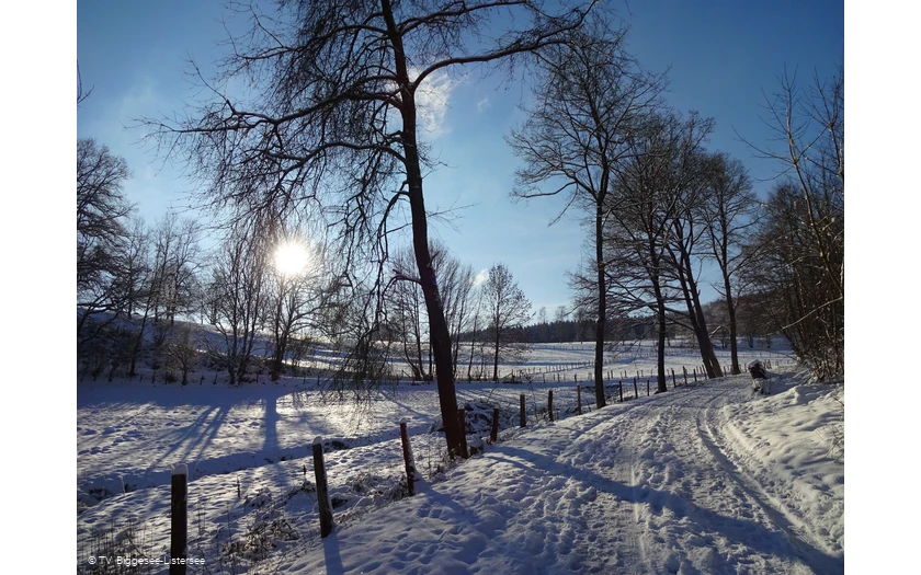Eichagen im Winter