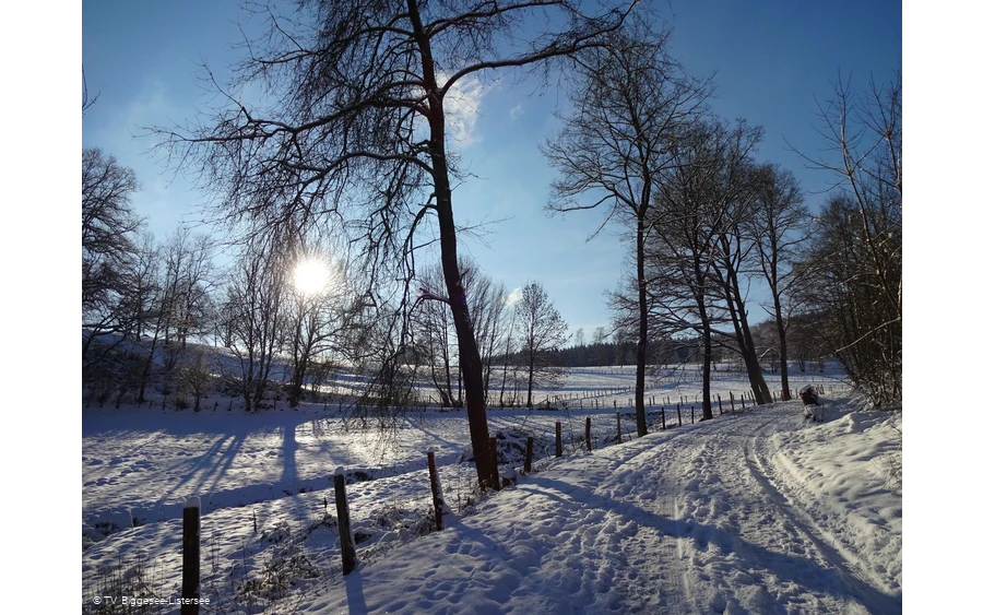 Eichagen im Winter