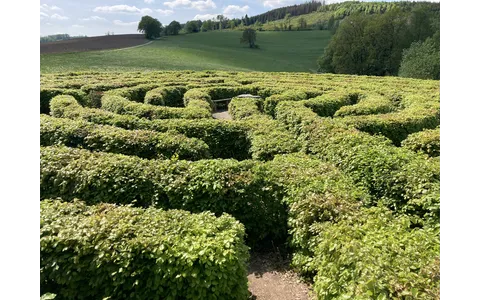Labyrinth