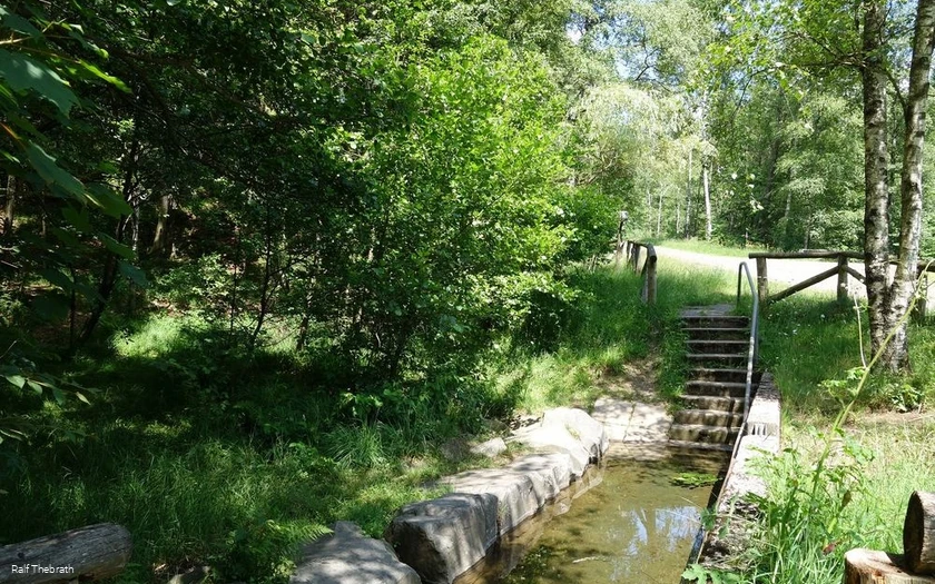 Die Anlage lädt zum Wassertreten ein