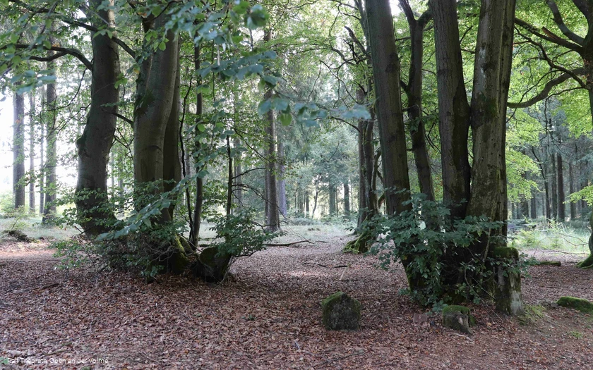 Valberter Rundweg