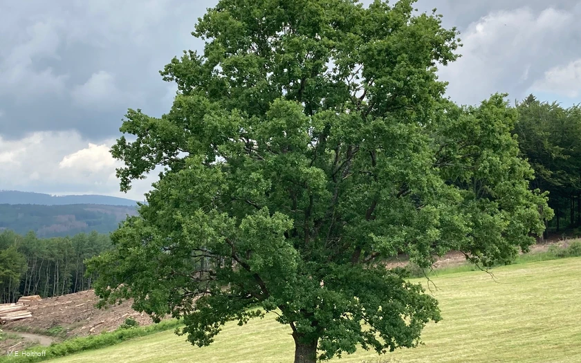 Impressionen am Wegesrand
