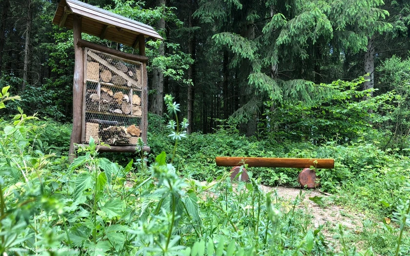 Das Insektenhotel am Wegesrand