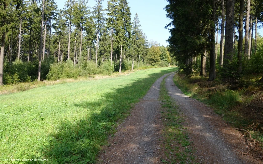 Langsam aber stetig berg auf führt uns der Weg