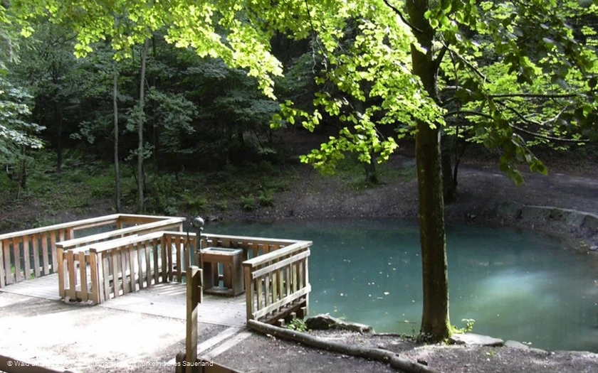 Waldweg Grenzenlos Olpe - "Silbersee" mit Plattformen