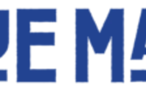 BlueMama_Logo_Schriftzug_blau-300x70.png