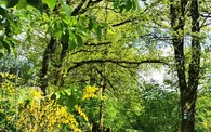 Oberhalb von Dumicke