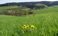 A3 oberhalb von Herpel.jpg