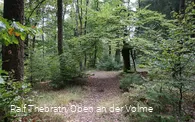 Wegeführung mitten durch den Wald