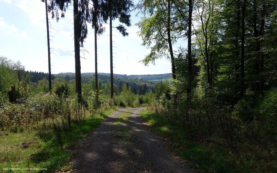 Fernsicht gen Süden