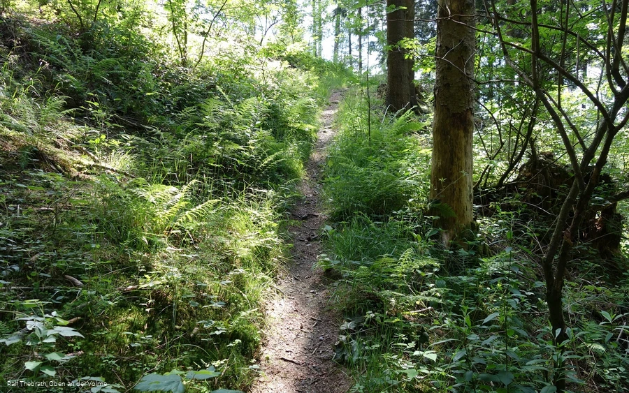 Enge, naturnahe Pfade sind auch Wegebestandteil