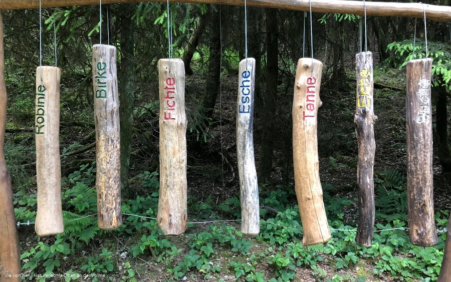 Für alle "Musikkünstler": das Dendrophon