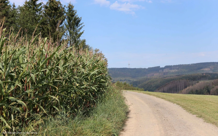 Valberter Rundweg