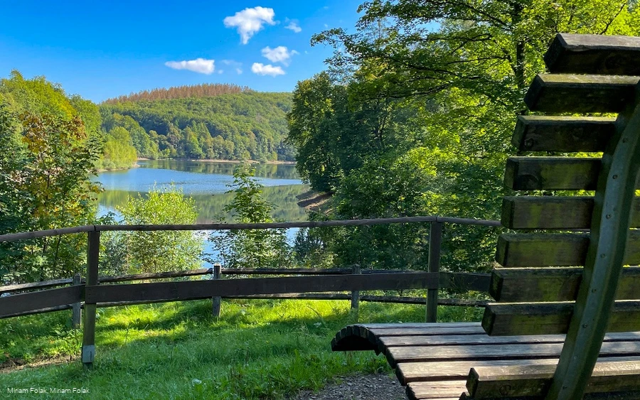 Waldsofa an der Fürwiggetalsperre
