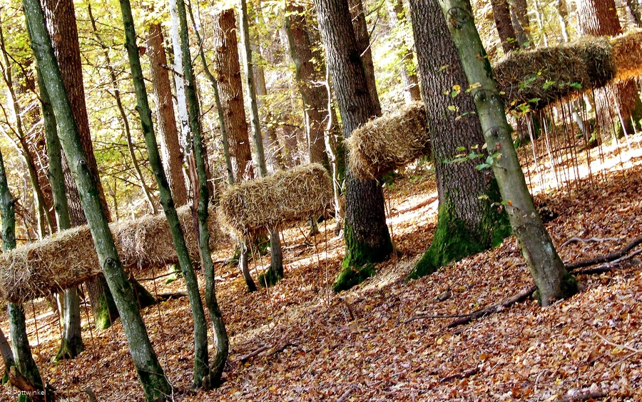 Galoppierende Strohhaufen