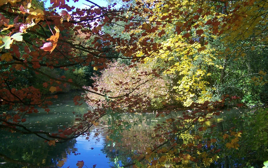herbstlicher Mikrokosmos