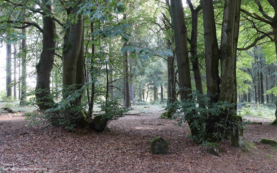 Valberter Rundweg