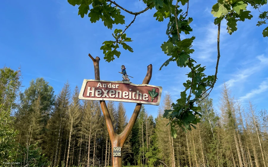 20210825_Hexeneiche_Heed (6).jpg
