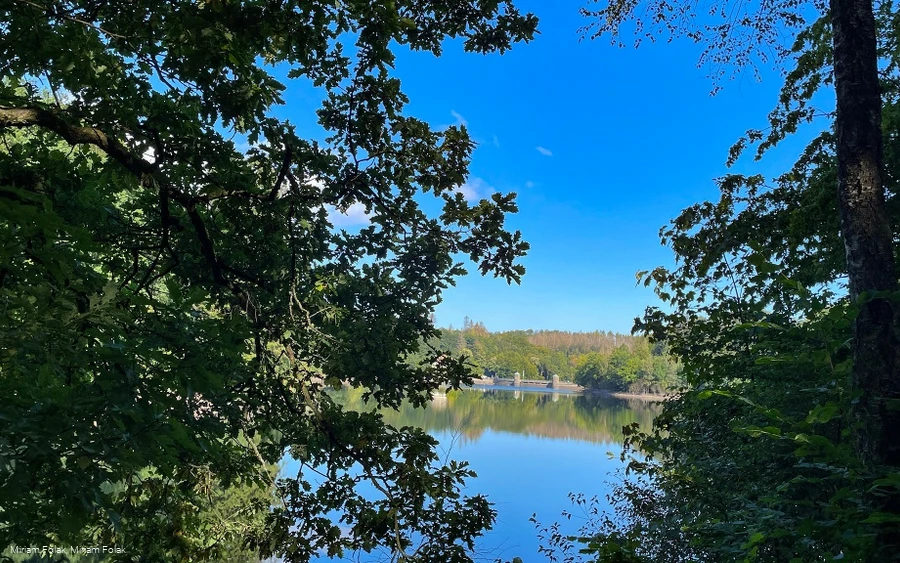 Blick auf die Staumaer der Fürwiggetalsperre