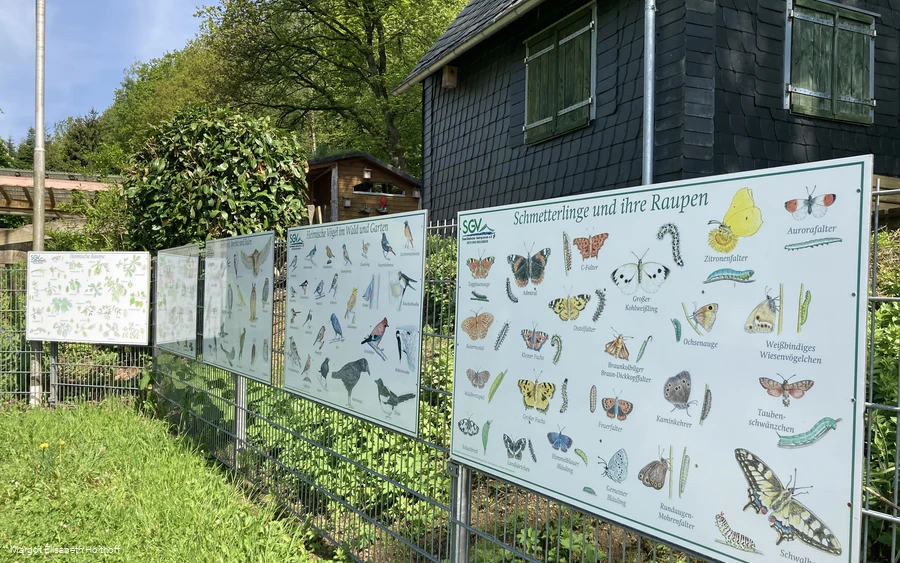 Heimische Natur Infotafeln an der SGV-Hütte