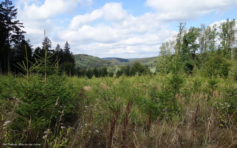 Aussicht in Richtung Hardenberg