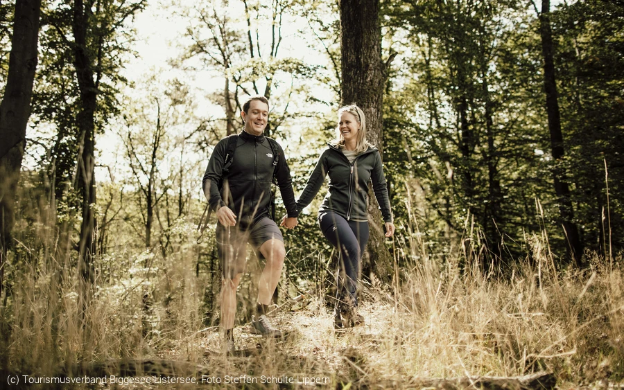 Wanderer im Wald 1, TV Biggesee-Listersee.jpg