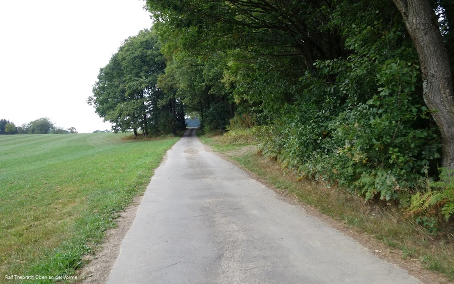 Der asphaltierte Wegeverlauf auf der Anhöhe