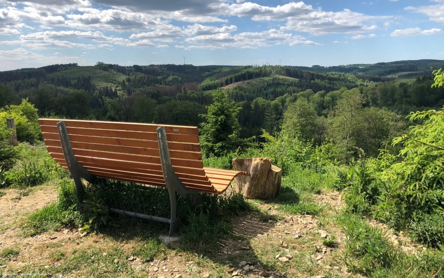 Aussichtspunkt mit Waldsofa und herrlichem Panorama