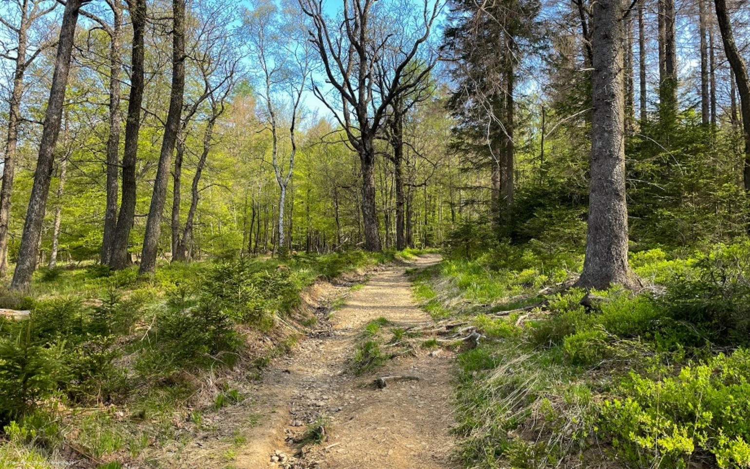 Über den Sauerland-Höhenflug hinauf zur Nordhelle