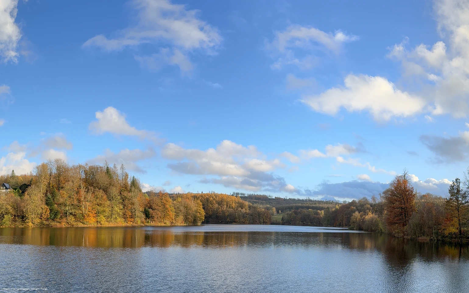 20231115_Fürwigge (6).jpg