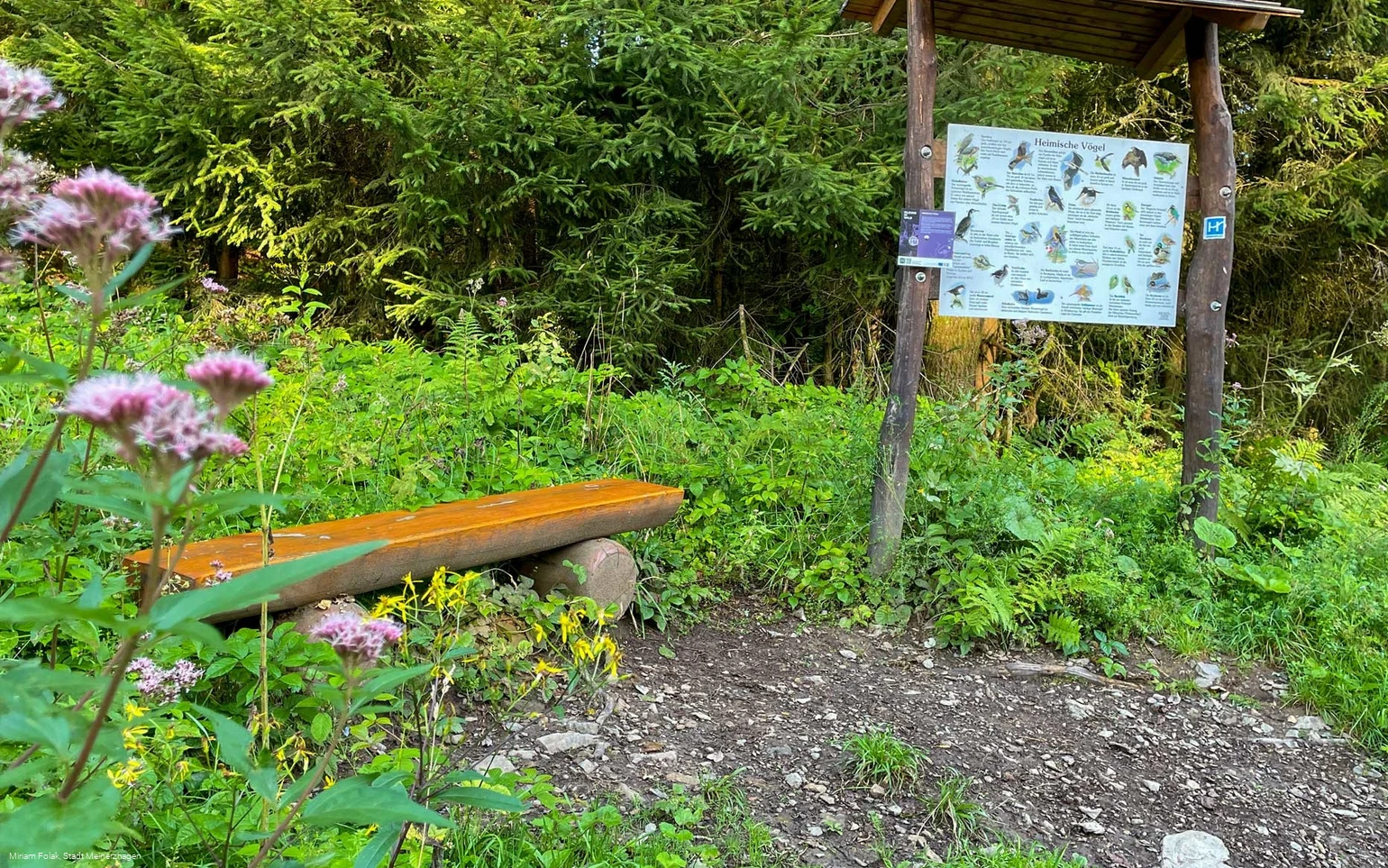 WaldAktivPfad am Wanderbaren M