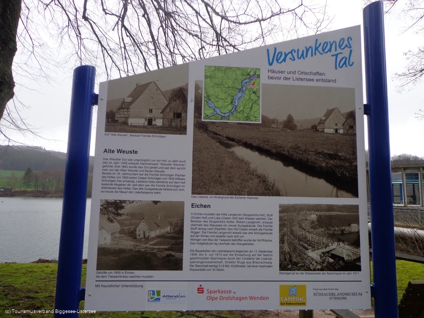 Alte Weuste Eichen
