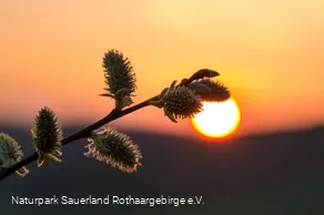 ... Sonnenuntergangsstimmung im Märkischen Sauerla