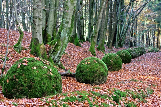Kugeln 1, Foto Drolshagen Marketing e.V..jpg