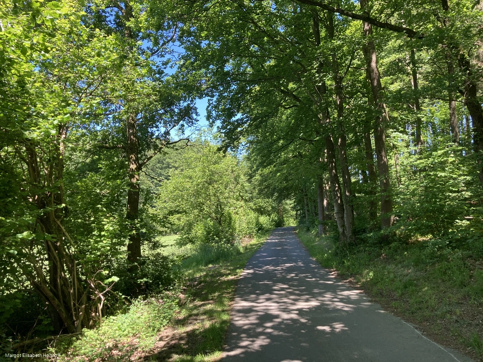 Auf dem Dräulzer Nr. 3 Steinbruchrunde.jpg