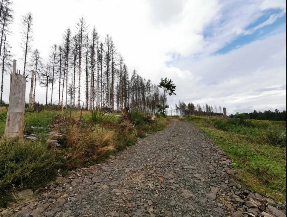 Mountainbike 1.jpg