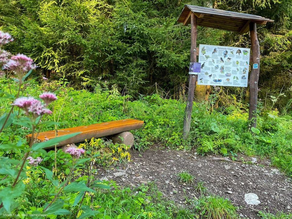 WaldAktivPfad am Wanderbaren M