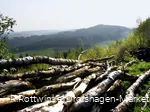 Am Wegesrand