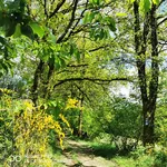 Oberhalb von Dumicke