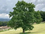 Impressionen am Wegesrand