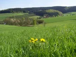 A3 oberhalb von Herpel.jpg