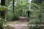 Wegeführung mitten durch den Wald
